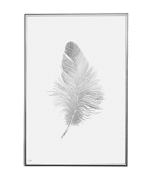 SILVER FEATHER