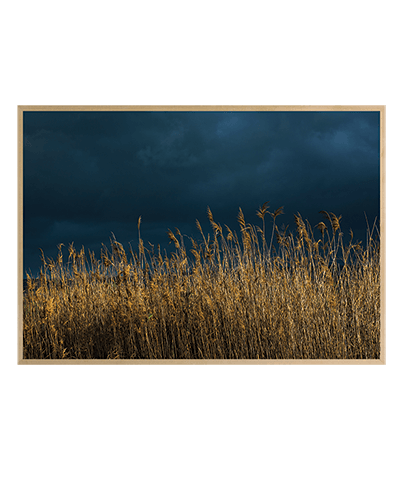 HULA VALLEY_02