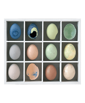 EGG TRAY 01