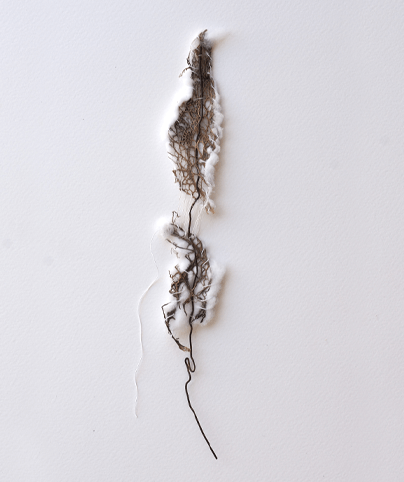 SPINE 15
