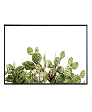 GREENERY_15