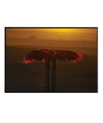 LANDSCAPE_36