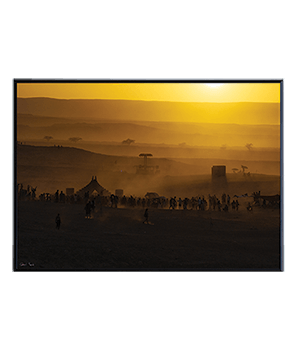 LANDSCAPE_37
