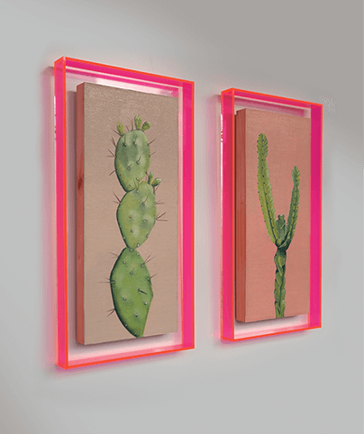 SUCCULENT 01