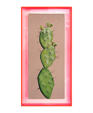 SUCCULENT 01