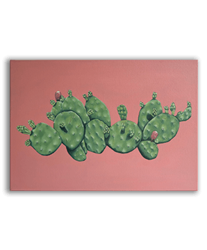 SUCCULENT_07