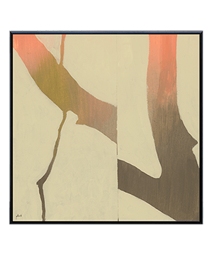 NUANCE_06